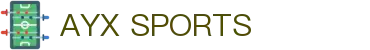 AYX·爱游戏「中国」官方网站_AYX SPORTS
