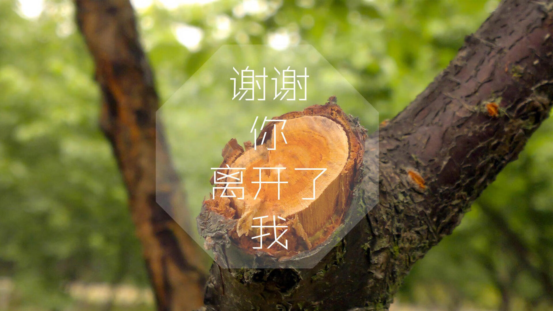 爱体育娱乐入口-中超球队边路推进方式与得分模式对应，中超球队边路推进方式与得分模式对应关系