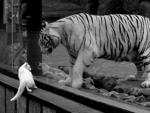 爱游戏平台-体育+文旅融合，天府新区释放发展新动能，天府新区文旅城