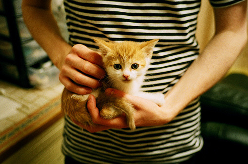 爱游戏官方入口-国际乒联混合团体世界杯：新加坡队如何应对团体赛中的复杂局面