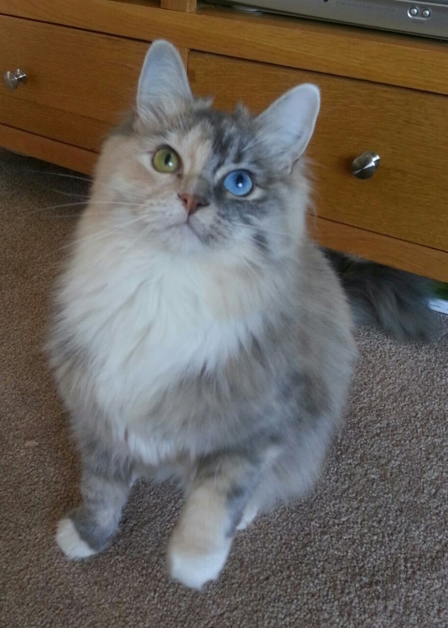 爱游戏官方入口-世界杯赛场医护支持体系揭秘，世界卫生组织医护比