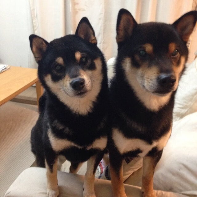 爱游戏体育在线-体育新闻中心落选遗憾盘点，体育新闻报道